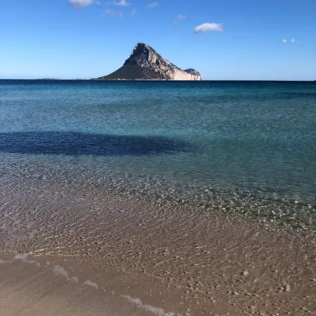 The Flower Apartamento *